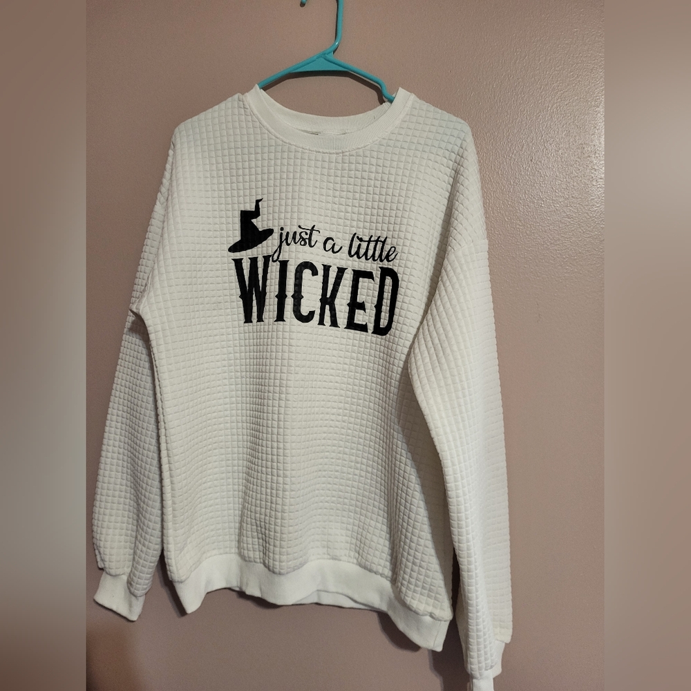 Wicked Sweater NWOT